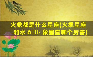 火象都是什么星座(火象星座和水 🌷 象星座哪个厉害)